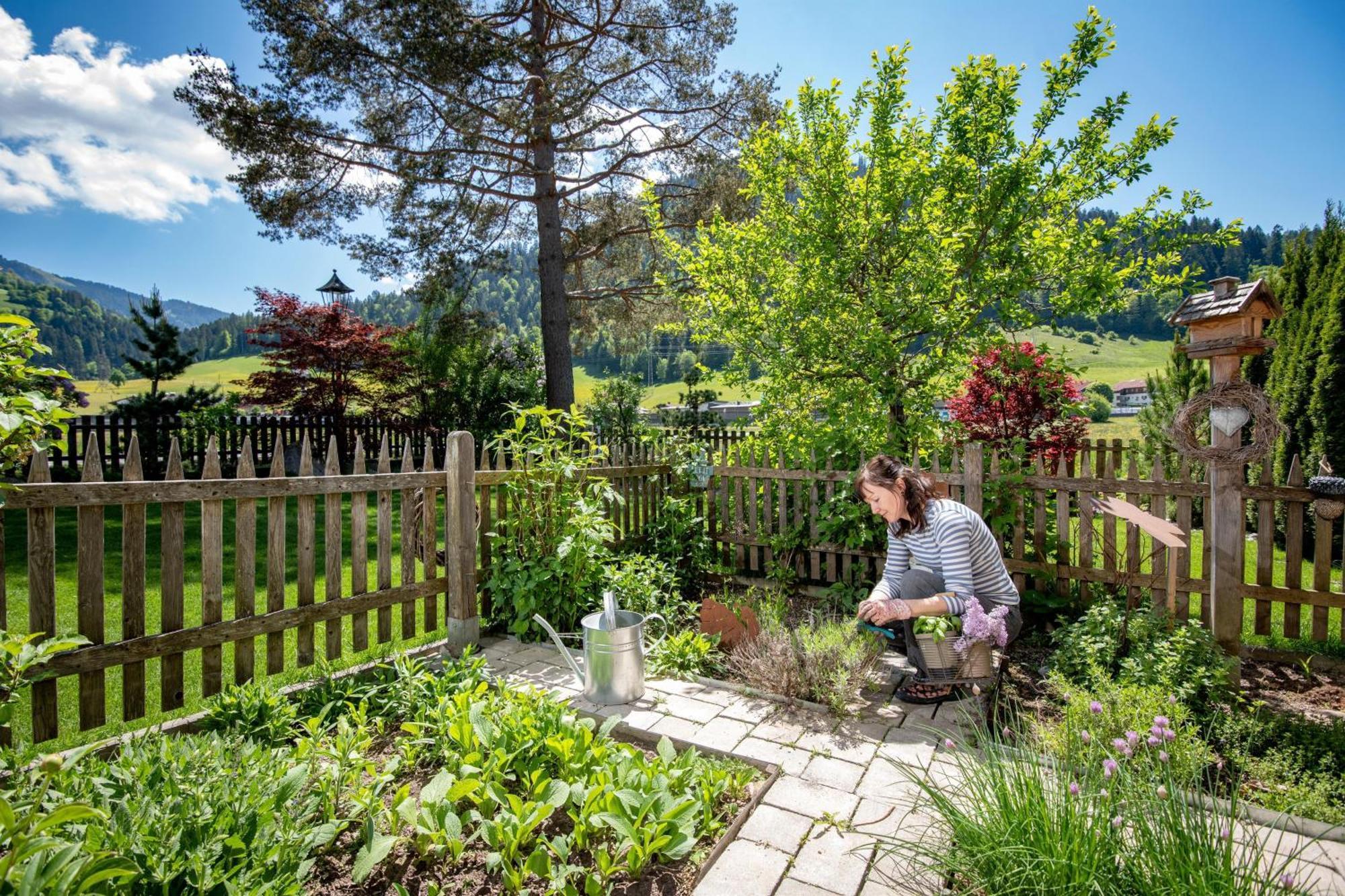 Pension Edelweiss Söll Buitenkant foto